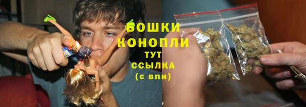 PSILOCYBIN Богданович