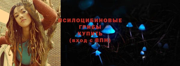 дмт Бронницы