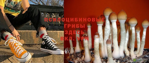 альфа пвп Бородино