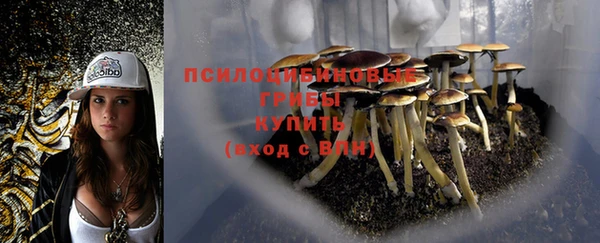 МДПВ Богородск