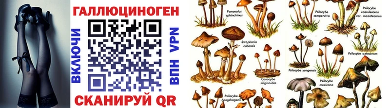 Псилоцибиновые грибы прущие грибы  Купить закладки  Щёлкино 